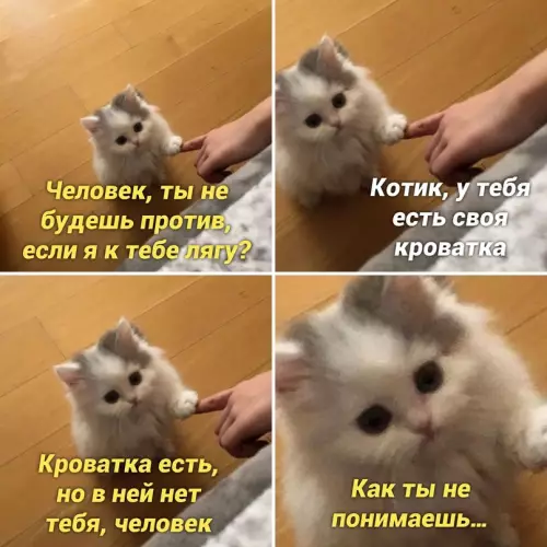 Смешная картинка №669361