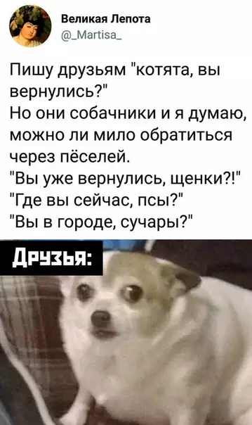 Смешная картинка №440802