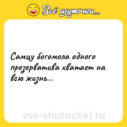 Шутка: Самцу богомола одного презерватива хватает на всю жизнь…