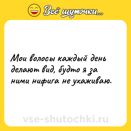 Шутка: Мои волосы каждый день делают вид, будто я за ними нифига не ухаживаю.