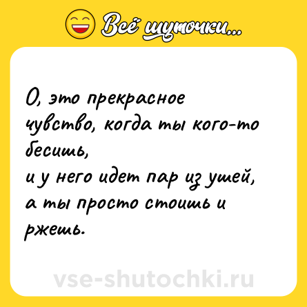 Шутка: О, это прекрасное чувство, когда ты кого-то бесишь,<br>и у него идет пар из ушей, а ты просто стоишь и ржешь.