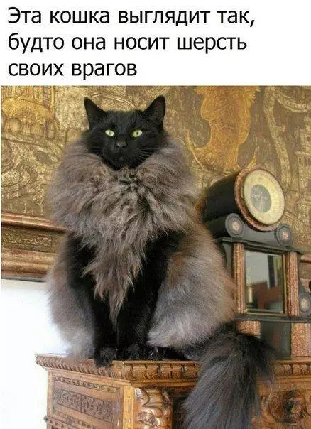 Смешная картинка №189380