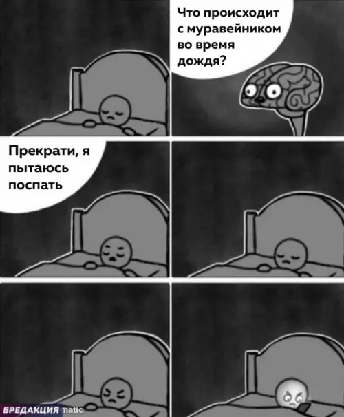 Смешная картинка №671263