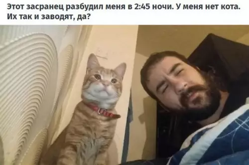 Смешная картинка №264826