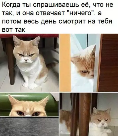 Смешная картинка №255240