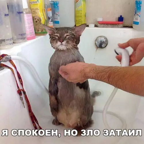 Смешная картинка №182233