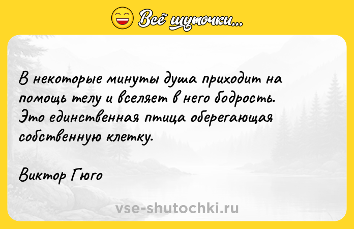Цитата: В некоторые минуты душа приходит на помощь телу и вселяет в него бодрость. Это единственная птица оберегающая собственную клетку.Виктор Гюго