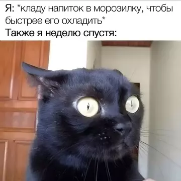 Смешная картинка №774366
