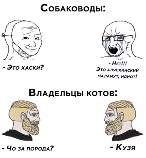 Смешная картинка №561924