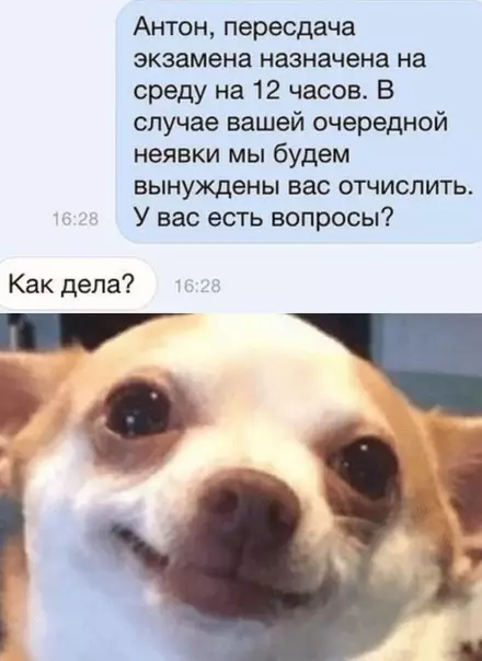 Смешная картинка №506484 Переписка, студенты