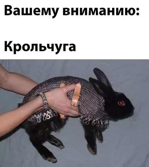 Смешная картинка №652340