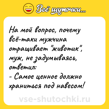 Шутка: На мой вопрос, почему всё-таки мужчина отращивает 