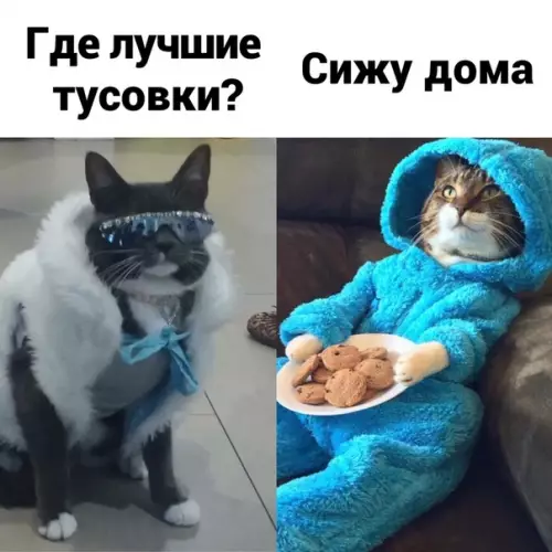 Смешная картинка №528031