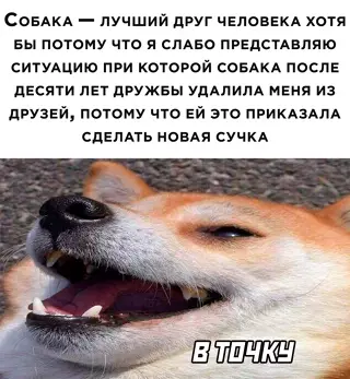 Смешная картинка №642597