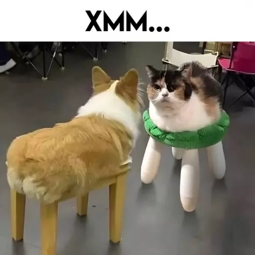 Смешная картинка №747610