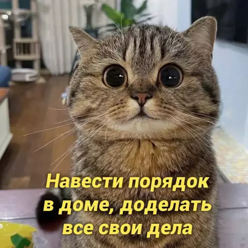 продолжение Смешная картинка №657292