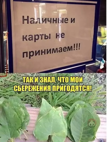 Смешная картинка №515798 Дайте адресок этого магазина!