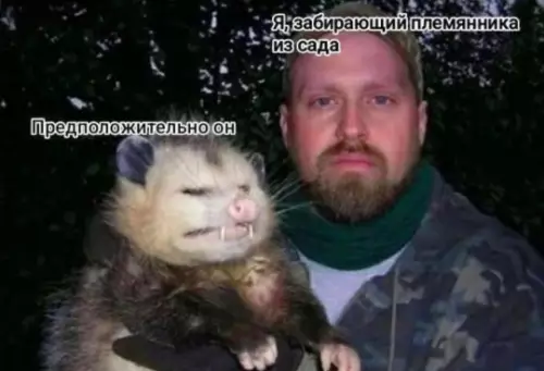 Смешная картинка №805269