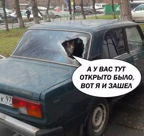 Смешная картинка №182528