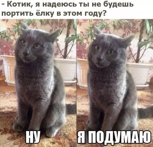Смешная картинка №229954