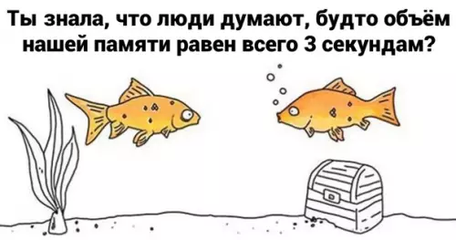 Смешная картинка №600409 Kтo здecь?