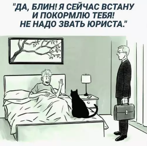 Смешная картинка №726936 коты