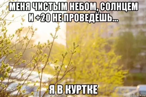 Смешная картинка №350728 Обманчивая теплота