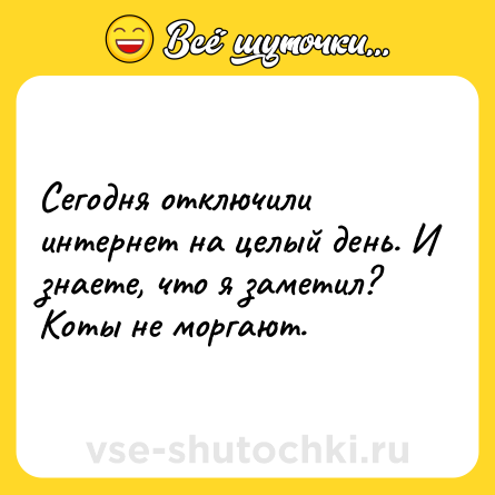 Шутка: Сегодня отключили интернет на целый день. И знаете, что я заметил? Коты не моргают.