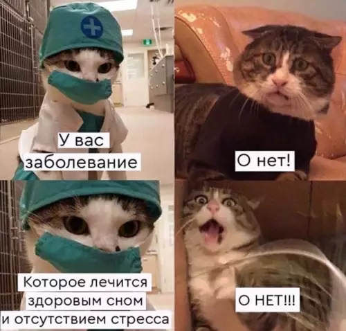 Смешная картинка №558848 Неизлeчимое зaболеваниe.