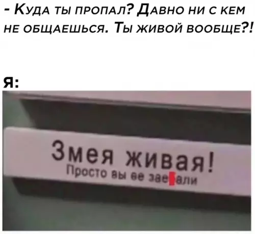 Смешная картинка №591895