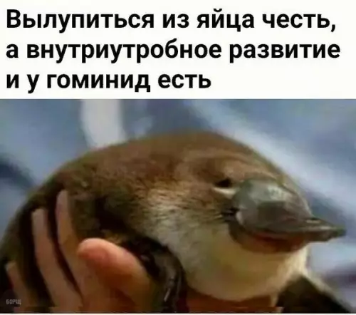 Смешная картинка №216021