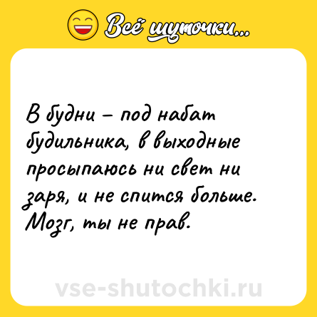 Шутка: В будни – под набат будильника, в выходные просыпаюсь ни свет ни заря, и не спится больше. Мозг, ты не прав.