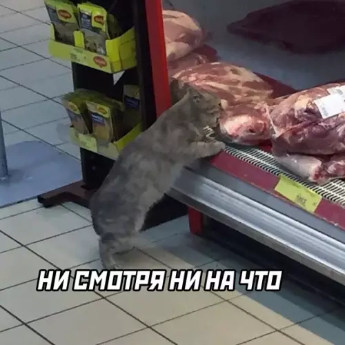 продолжение Смешная картинка №582645