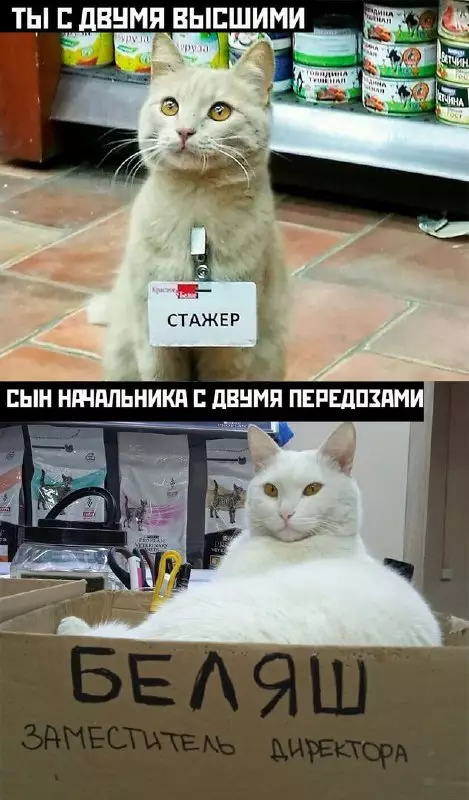 Смешная картинка №690142