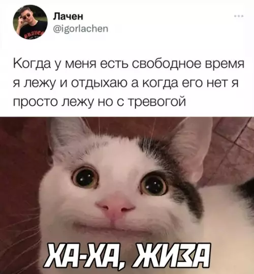 Смешная картинка №602427