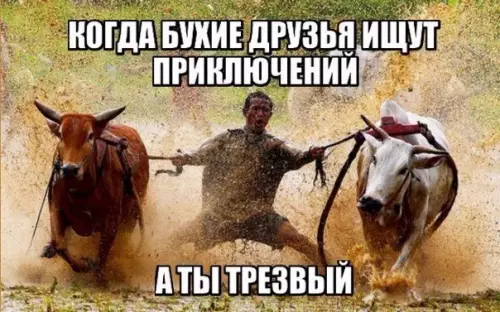 Смешная картинка №189593 друзья