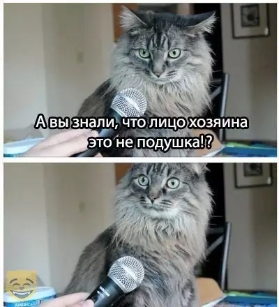 Смешная картинка №481418 #приколы #картинки #мемы ?
