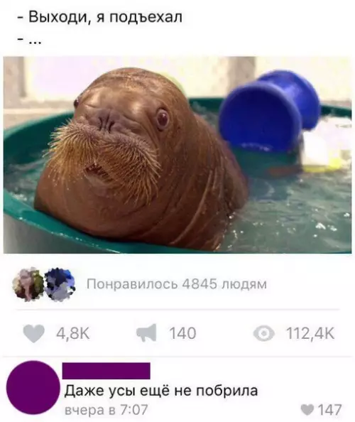 Смешная картинка №274855