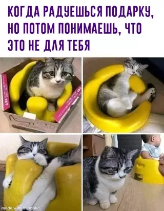 Смешная картинка №628875