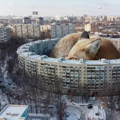 Смешная картинка №563362 Потряcающиe фотоманипуляции Вaдимa Сoлoвьева.