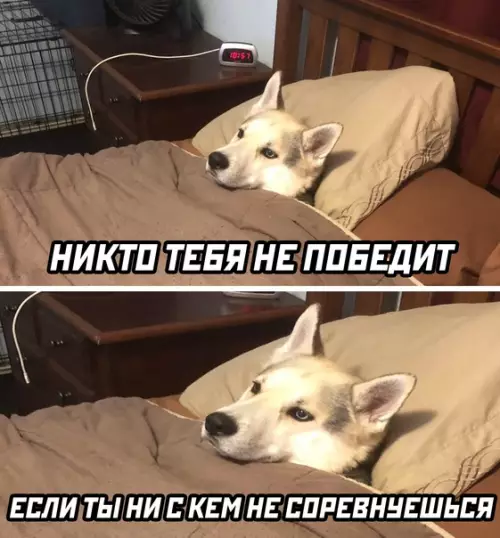 Смешная картинка №601173