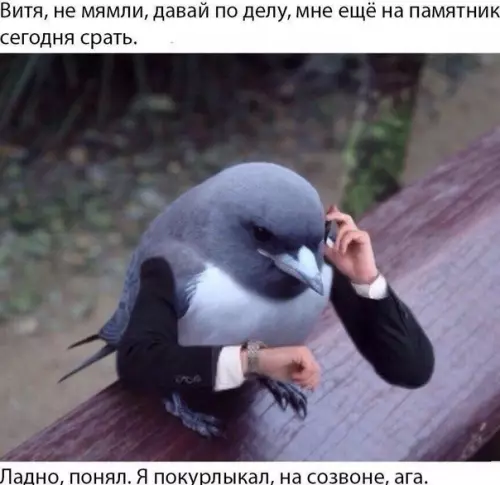 Смешная картинка №577732