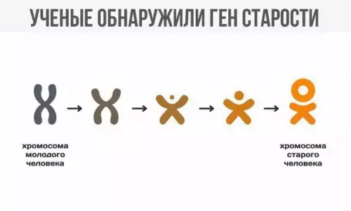 Смешная картинка №259240