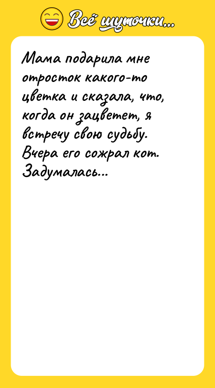 Мама подарила мне отросток какого-то цветка и сказала, что, когда