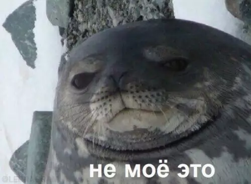 продолжение Смешная картинка №603241 это не моё...