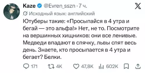 Почему белка — не альфа? 🤔🐿️ - Ютуберы такие: Просыпайся в 4 утра и бегай это альфа!