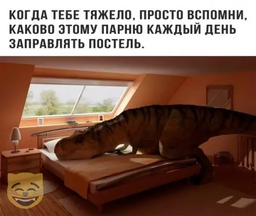 Смешная картинка №406985 #приколы #картинки #мемы ?