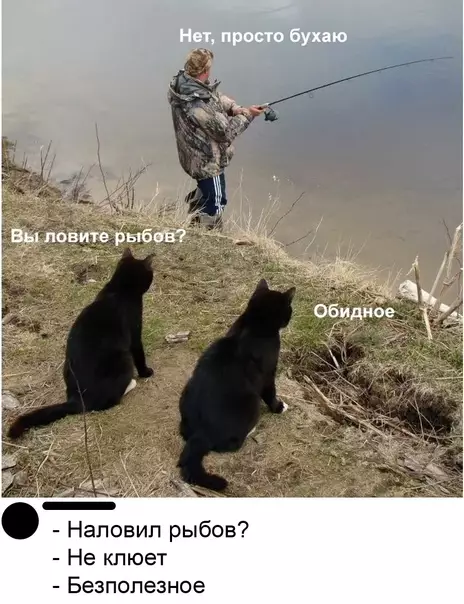 Смешная картинка №589788 Им кто-нибудь даст в конце концов рыбов? про рыбов, вы продаете рыбов кошки