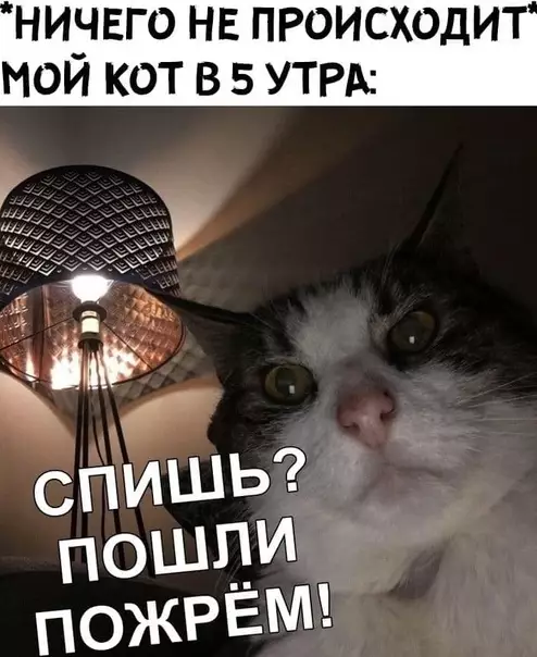 Смешная картинка №566393