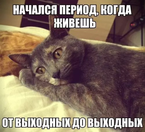 Смешная картинка №206370